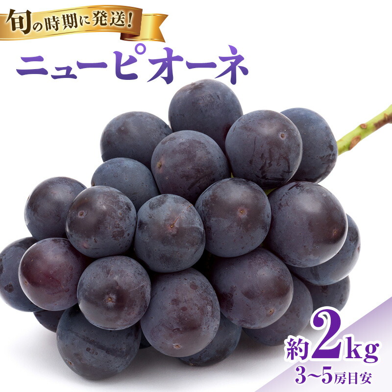 【ふるさと納税】【2026年先行受付】 ぶどう ニューピオーネ 秀品 約2kg(3～5房) 岡山県産 ぶどう 葡萄 ブドウ ギフト 御礼 プレゼント 御礼 御祝 御供 果物 くだもの フルーツ　お届け：2026年8月中旬～2026年9月下旬