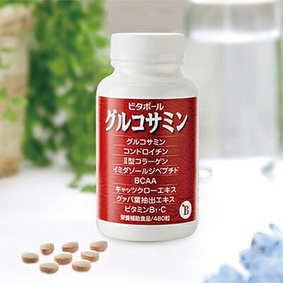 【ふるさと納税】ビタポール グルコサミン ( 錠剤 ) 思わしい食料雑貨類