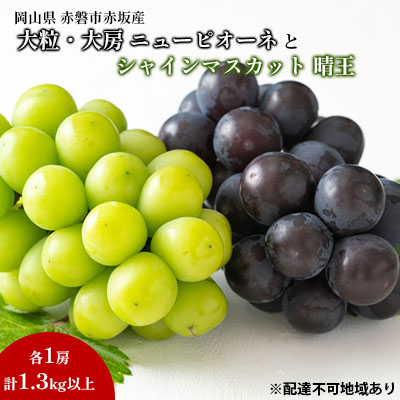 【ふるさと納税】ぶどう 2025年 先行予約 シャイン マスカット 晴王 1房 ニューピオーネ 大粒 大房 1房 合計1.3kg以上 ブドウ 葡萄 岡山県 赤磐市産 国産 フルーツ 果物 ギフト 赤坂青空市 果物類 　お届け：2025年6月下旬～2025年7月下旬