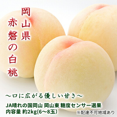【ふるさと納税】桃 2025年 先行予約 赤磐の 白桃 約2.0kg 6～8玉 JA晴れの国 糖度センサー選果 もも モモ 岡山県 赤磐市産 国産 フルーツ 果物 ギフト デザート 果肉 　お届け：2025年6月下旬～2025年8月上旬