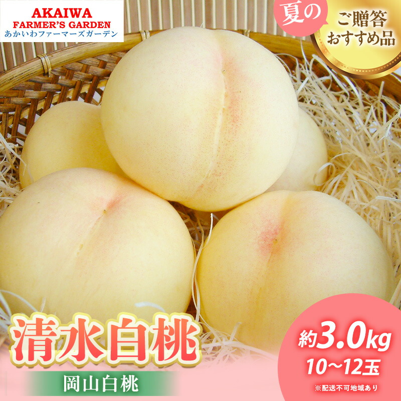 【ふるさと納税】桃 2025年 先行予約 清水 白桃 約3.0kg 10～12玉 もも 岡山県 赤磐市産 フルーツ 果物 あかいわファーマーズガーデン 果物類 　お届け：2025年7月中旬～2025年7月下旬