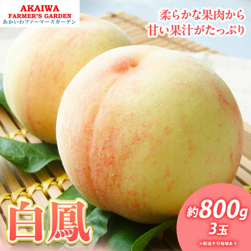 【ふるさと納税】桃 2025年 先行予約 白桃 白鳳 約800g 3玉 もも 岡山県 赤磐市産 フルーツ 果物 あかいわファーマーズガーデン 果物類 　お届け：2025年7月上旬～2025年7月中旬