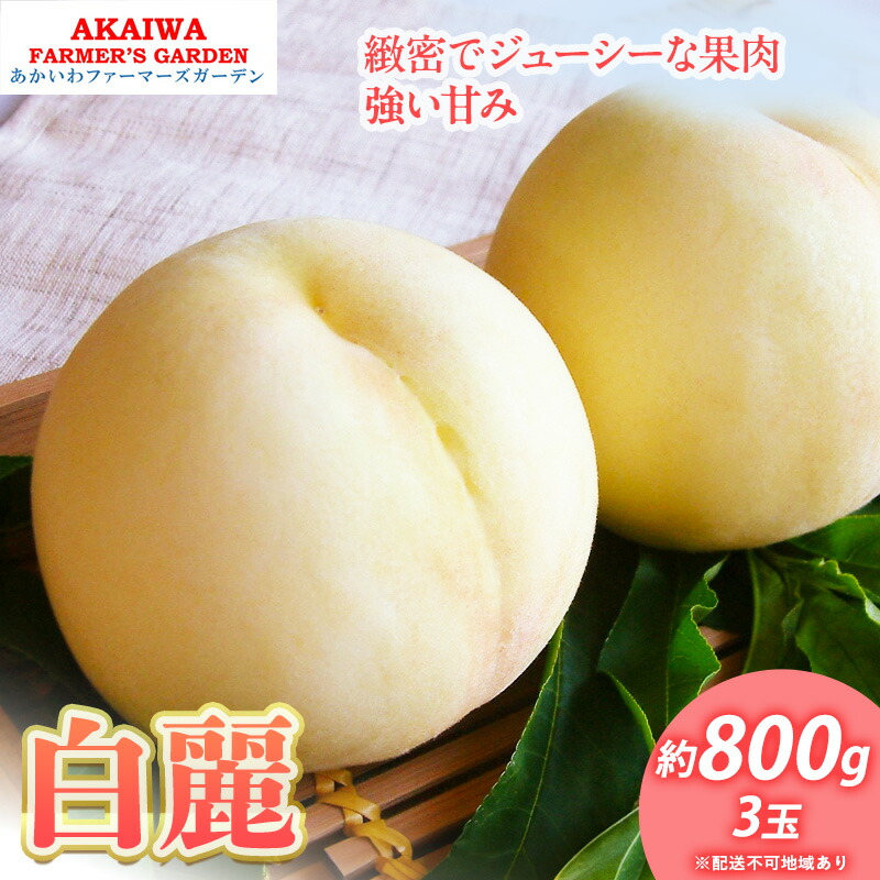 【ふるさと納税】桃 2025年 先行予約 白桃 白麗 約800g 3玉 もも 岡山県 赤磐市産 フルーツ 果物 あかいわファーマーズガーデン 果物類 　お届け：2025年8月上旬～2025年8月中旬