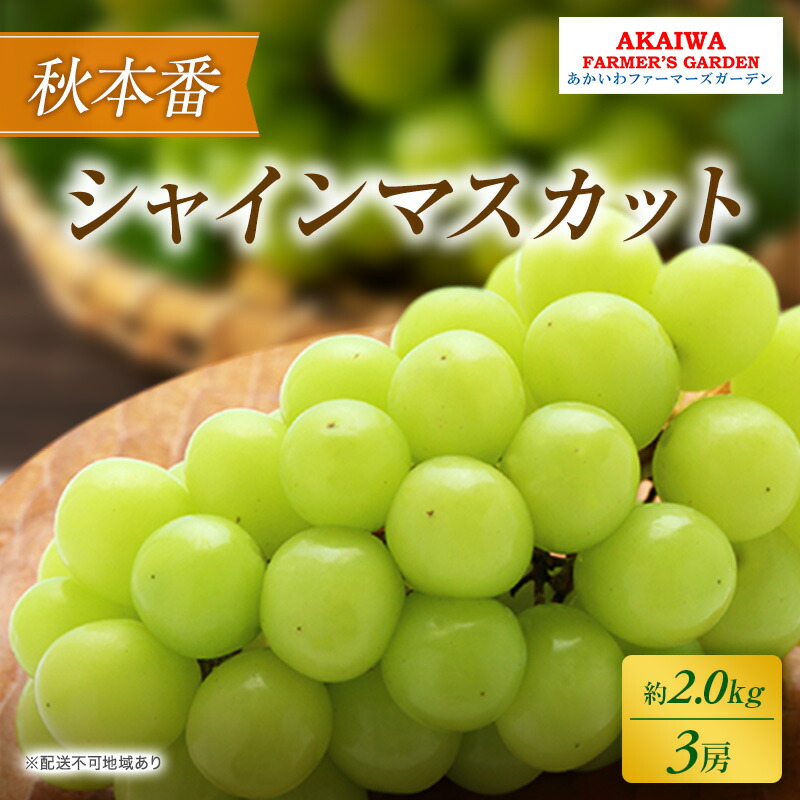 【ふるさと納税】ぶどう 2025年 先行予約 シャインマスカット 約2.0kg 3房 秋本番 葡萄 岡山県 赤磐市産 フルーツ 果物 果物類 　お届け：2025年9月下旬～2025年10月中旬