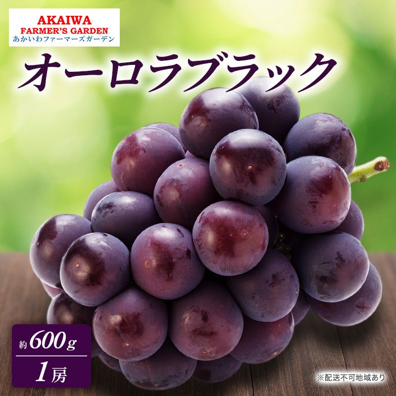 【ふるさと納税】ぶどう 2025年 先行予約 オーロラブラック 約600g 1房 葡萄 岡山県 赤磐市産 フルーツ 果物 あかいわファーマーズガーデン 　お届け：2025年9月上旬～2025年9月下旬