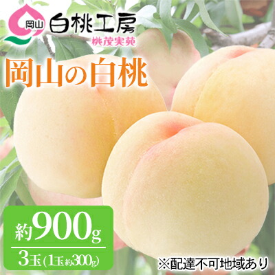 【ふるさと納税】桃 2025年 先行予約 白桃 3玉 合計約900g （1玉約300g） もも モモ 岡山 国産 フルーツ 果物 ギフト 桃茂実苑 果肉 　お届け：2025年6月中旬～2025年8月中旬
