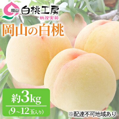 【ふるさと納税】桃 2025年 先行予約 白桃 3kg 9～12玉 もも モモ 岡山 国産 フルーツ 果物 ギフト 桃茂実苑 果肉 　お届け：2025年6月中旬～2025年8月中旬