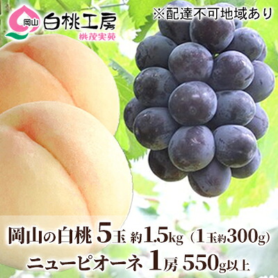 【ふるさと納税】桃 ぶどう 2026年 先行予約 白桃 5玉 合計約1.5kg（1玉 約300g） ニューピオーネ 1房 550g 詰合せ もも モモ 葡萄 ブドウ ピオーネ 岡山県産 国産 フルーツ 果物 ギフト 桃茂実苑 　お届け：2026年6月中旬～2026年8月中旬