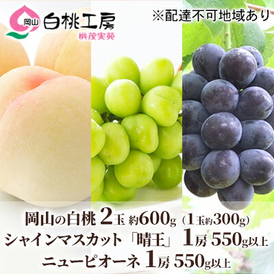 【ふるさと納税】桃 ぶどう 2025年 先行予約 白桃 2玉 合計約600g （1玉約300g） シャインマスカット 晴王 1房 550g以上 もも 葡萄 詰合せ 岡山 国産 フルーツ 果物 ギフト 桃茂実苑 　お届け：2025年6月中旬～2025年8月中旬
