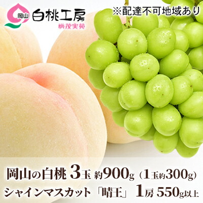 【ふるさと納税】桃 ぶどう 2025年 先行予約 白桃 3玉 合計約900g （1玉約300g） シャインマスカット 晴王 1房 550g以上 もも 葡萄 詰合せ 岡山 国産 フルーツ 果物 ギフト 桃茂実苑 　お届け：2025年6月中旬～2025年8月中旬