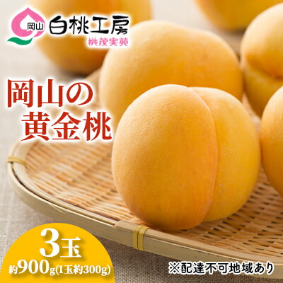 【ふるさと納税】桃 2025年 先行予約 黄金桃 3玉 合計約900g （1玉約300g） もも モモ 岡山 国産 フルーツ 果物 ギフト 桃茂実苑 果肉 　お届け：2025年8月中旬～2025年9月上旬