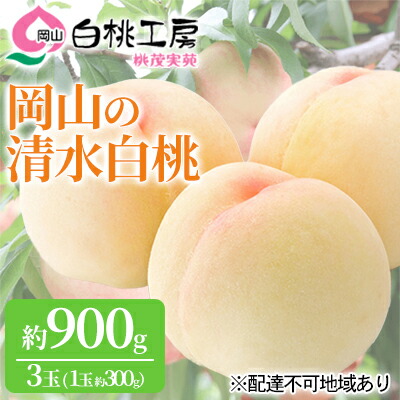 【ふるさと納税】桃 2025年 先行予約 清水 白桃 3玉 合計約900g （1玉約300g） もも モモ 岡山 国産 フルーツ 果物 ギフト 桃茂実苑 果肉 　お届け：2025年7月中旬～2025年8月上旬