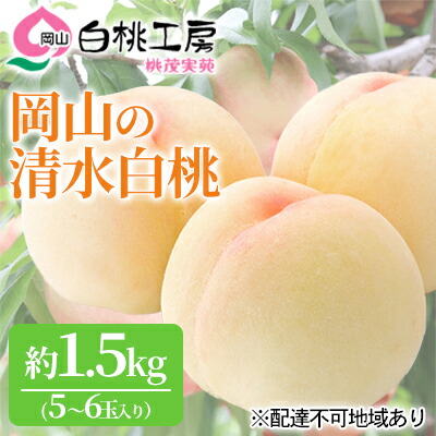 【ふるさと納税】桃 2025年 先行予約 清水 白桃 1.5kg 5～6玉 もも モモ 岡山 国産 フルーツ 果物 ギフト 桃茂実苑 果肉 　お届け：2025年7月中旬～2025年8月上旬