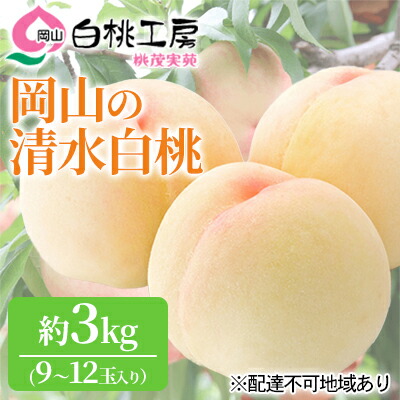 【ふるさと納税】桃 2025年 先行予約 清水 白桃 3kg 9～12玉 もも モモ 岡山 国産 フルーツ 果物 ギフト 桃茂実苑 果肉 　お届け：2025年7月中旬～2025年8月上旬