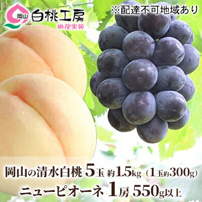 【ふるさと納税】桃 ぶどう 2025年 先行予約 清水 白桃 5玉 約1.5kg 1玉約300g ニュー ピオーネ 1房 550g以上もも 葡萄 詰合せ 岡山 国産 フルーツ 果物 ギフト 桃茂実苑 果物類 　お届け：2025年7月中旬～2025年8月上旬