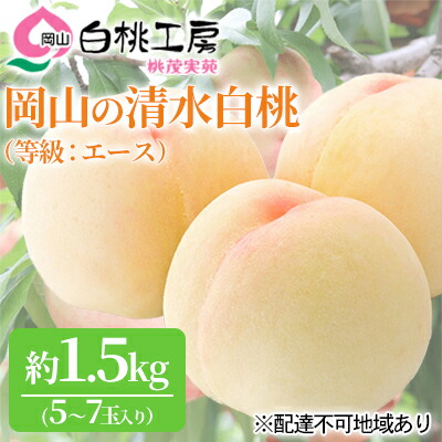 【ふるさと納税】桃 2025年 先行予約 清水 白桃 等級 エース 約1.5kg 5～7玉入りもも モモ 岡山 国産 フルーツ 果物 ギフト 桃茂実苑 果肉 　お届け：2025年7月中旬～2025年8月上旬