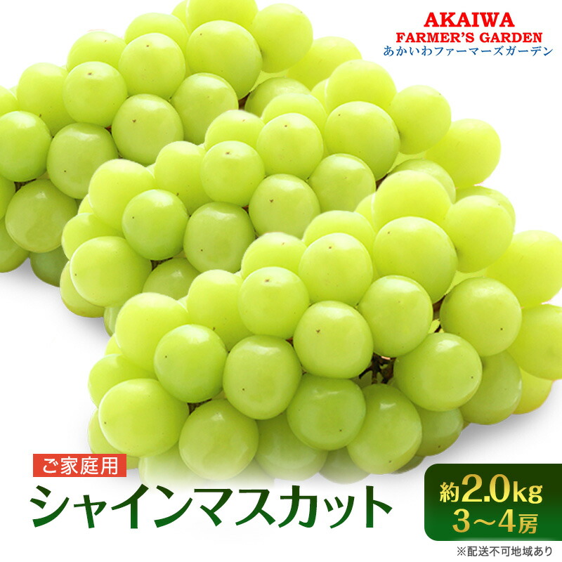 【ふるさと納税】ぶどう 2025年 先行予約 ご家庭用 シャインマスカット 約2.0kg 3～4房 葡萄 フルーツ 果物 岡山 赤磐市産 あかいわファーマーズガーデン 人気 皮ごと 種無し 甘い 　お届け：2025年9月中旬～2025年10月上旬