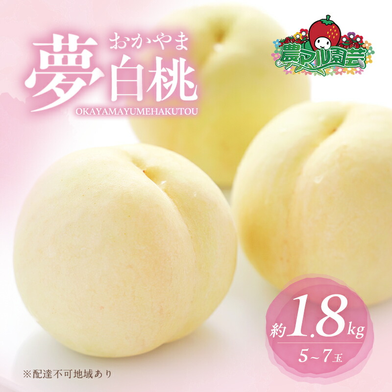 【ふるさと納税】桃 2025年 先行予約 おかやま 夢 白桃 約1.8kg 5～7玉 進物用 もも モモ フルーツ 果物 岡山 赤磐市産 農マル園芸 あかいわ農園 白鳳 家庭用 　お届け：2025年7月中旬～2025年8月中旬