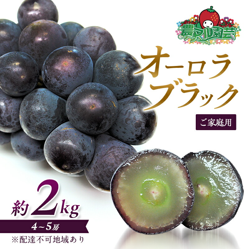 【ふるさと納税】ぶどう 2025年 先行予約 オーロラブラック 約2kg 4～5房 ご家庭用 ブドウ 葡萄 フルーツ 果物 岡山 赤磐市産 農マル園芸 あかいわ農園 種なし 大粒 高糖度 　お届け：2025年8月下旬～2025年9月下旬