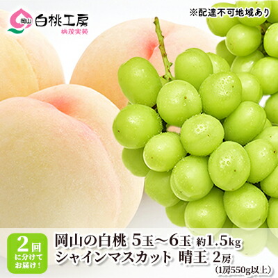 【ふるさと納税】桃 ぶどう 2025年 先行予約 白桃 1.5kg シャインマスカット 晴王 2房 1房550g以上 2回に分けてお届け！ もも 葡萄 定期便 岡山 国産 フルーツ 果物 ギフト 桃茂実苑 　お届け：2025年6月中旬～2025年10月下旬