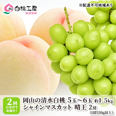【ふるさと納税】桃 ぶどう 2025年 先行予約 清水 白桃 1.5kg シャインマスカット 晴王 2房 1房550g以上 2回に分けてお届け！ もも 葡萄 定期便 岡山 国産 フルーツ 果物 ギフト 桃茂実苑 　お届け：2025年7月中旬～2025年10月下旬