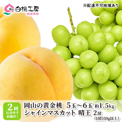 【ふるさと納税】桃 ぶどう 2025年 先行予約 黄金桃 1.5kg シャインマスカット 晴王 2房 1房550g以上 2回に分けてお届け！もも 葡萄 定期便 岡山 国産 フルーツ 果物 ギフト 桃茂実苑 　お届け：2025年8月中旬～2025年10月下旬