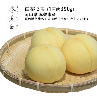 【ふるさと納税】桃 2025年 先行予約 白桃 冬美白 とうびはく 3玉 1玉約350g もも モモ 令和7年 岡山 赤磐市産 国産 フルーツ 果物 ギフト 果肉 しっかり 柔らかい 食感 大変貴重 高糖度 栽培方法 　お届け：2025年10月中旬～2025年11月中旬