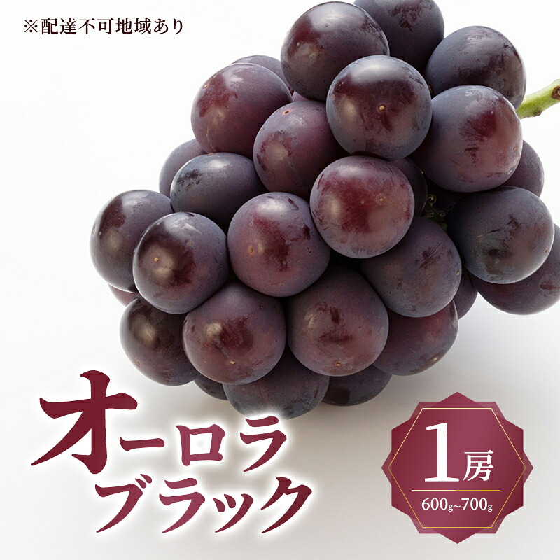 【ふるさと納税】ぶどう 2026年 先行予約 オーロラ ブラック 1房 600g～700g 大粒 種無し ブドウ 葡萄 岡山県 赤磐市産 国産 フルーツ 果物 ギフト MAKANAファーマーズ 甘みが強い 香り高い デザート 　お届け：2026年8月下旬～2026年9月中旬