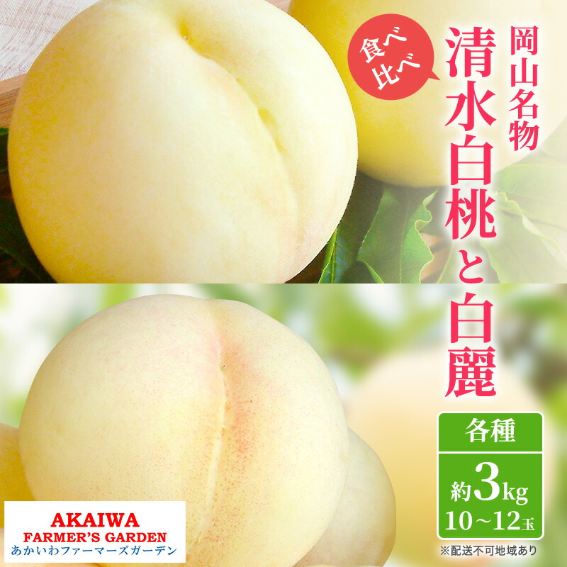 【ふるさと納税】桃 2025年 先行予約 定期便 岡山名物 白桃 食べ比べ ！ 清水白桃 と 白麗 各約3.0kg 10～12玉 あかいわファーマーズガーデン 果物 　お届け：2025年7月中旬～2025年8月下旬
