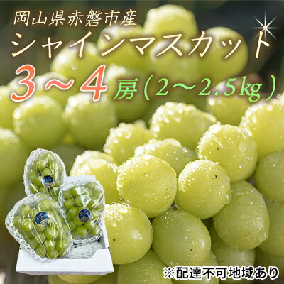 【ふるさと納税】ぶどう 2025年 先行予約 シャイン マスカット 3～4房 約2.0～2.5kg 秀品 ブドウ 葡萄 岡山 赤磐市産 国産 フルーツ 果物 ギフト 果物類 デザート 食後 産地直送 大房 甘い 種なし 皮ごと 大粒 　お届け：2025年9月下旬～2025年10月中旬