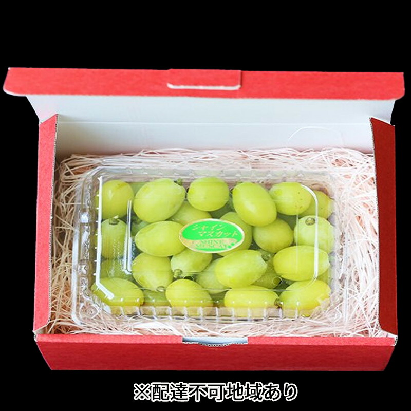 【ふるさと納税】早期受付 シャイン マスカット 1パック（750g以上） 桃茂実苑 　お届け：2025年10月上旬～2026年1月下旬