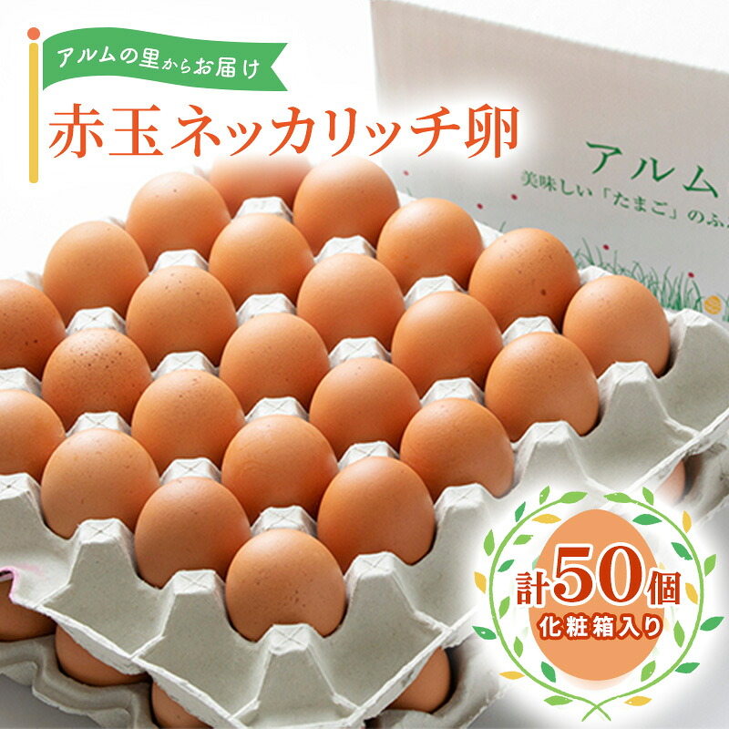 【ふるさと納税】卵 赤玉 ネッカリッチ卵 50個入り 鶏卵 たまご