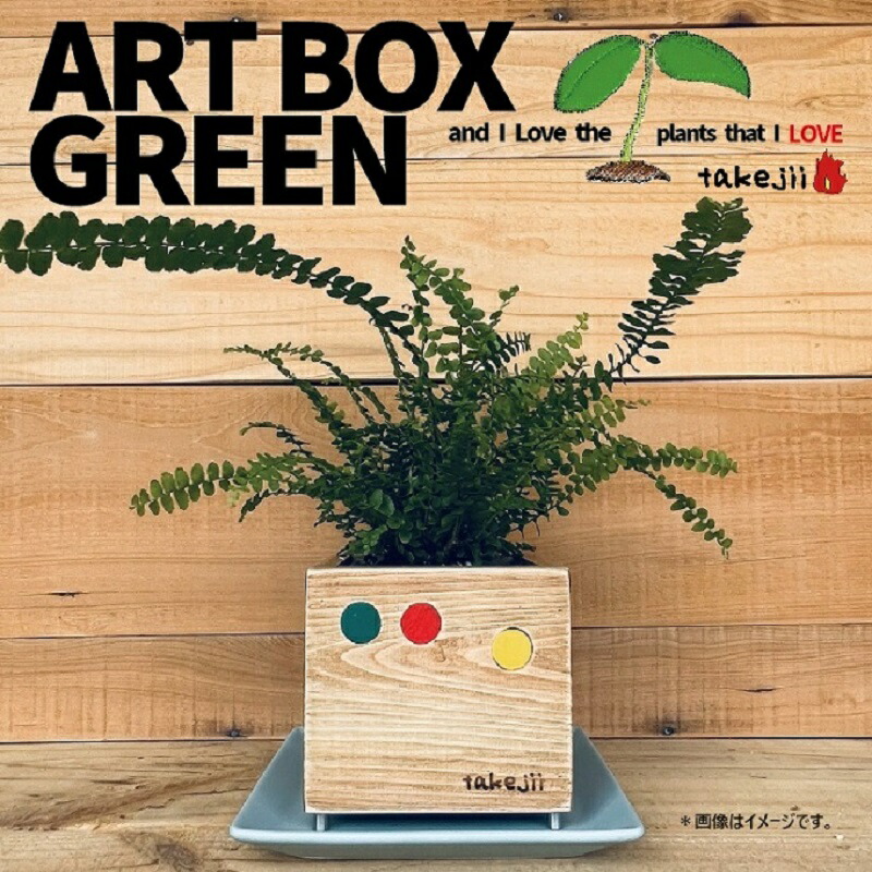 【ふるさと納税】インテリア ART BOX GREEN / 001(〇） アートボックス 観葉植物 多肉植物 岡山 赤磐市 takejii craft