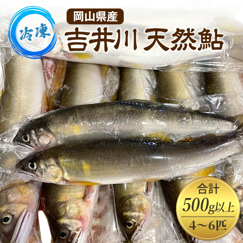 【ふるさと納税】天然鮎 4～6匹 合計500g以上 【9月 発送予定】 冷凍 個包装 鮎 アユ あゆ 魚 川魚 岡山県産 吉井川　お届け：2026年9月上旬～2026年9月下旬