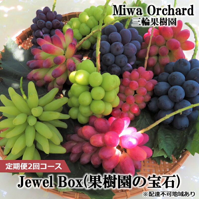 岩手県産山葡萄　樹皮　S級　② 岩手県産山葡萄 樹皮 S級 ② 岩手県産山葡萄 樹皮 S級 ②