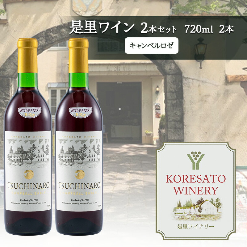 【ふるさと納税】是里 ワイン 果実酒 キャンベル赤 720ml 2本 岡山 赤磐市 お酒