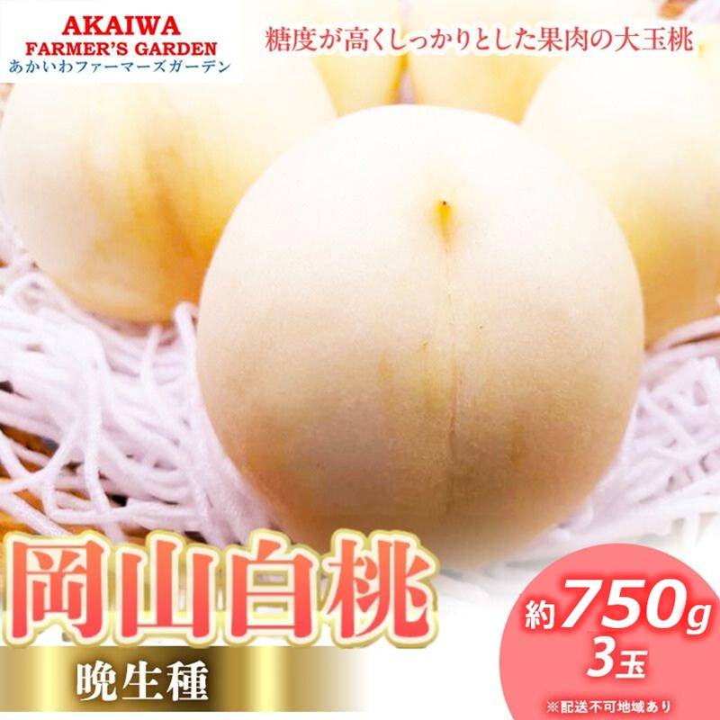 【ふるさと納税】桃 2026年 先行予約 岡山の 白桃 (晩生種) 約750g 3玉 もも 岡山県 赤磐市産 フルーツ 果物 あかいわファーマーズガーデン デザート 旬の果物 旬のフルーツ　お届け：2026年8月下旬～2026年9月中旬｜岡山県赤磐市