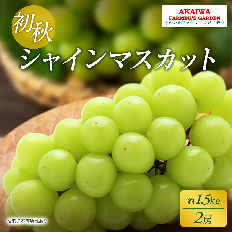 【ふるさと納税】ぶどう 2026年 先行予約 シャインマスカット 約1.5kg 2房 初秋 葡萄 岡山県 赤磐市産 フルーツ 果物 あかいわファーマーズガーデン 果物類　お届け：2026年8月下旬～2026年9月上旬｜岡山県赤磐市