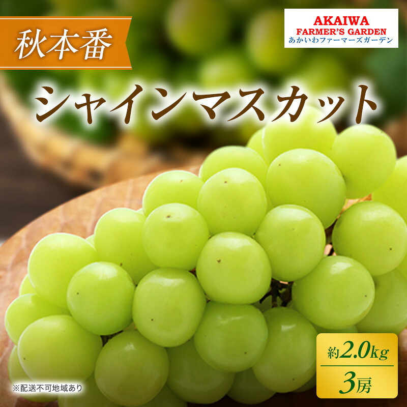 【ふるさと納税】ぶどう 2026年 先行予約 シャインマスカット 約2.0kg 3房 秋本番 葡萄 岡山県 赤磐市産 フルーツ 果物 果物類 お届け:2026年9月下旬~2026年10月中旬|岡山県赤磐市