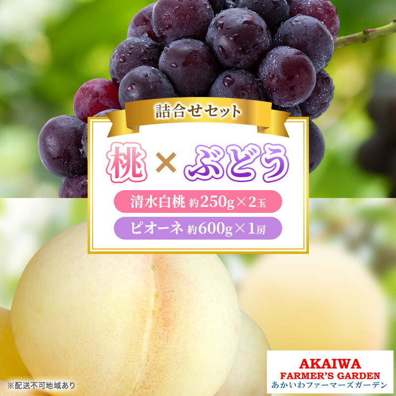 【ふるさと納税】桃 ぶどう 詰合せ 2026年 先行予約 清水 白桃 2玉（1玉250g以上） ニュー ピオーネ 1房 約600g 岡山県 赤磐市産 フルーツ 果物 あかいわファーマーズガーデン　お届け：2026年7月中旬～2026年8月上旬