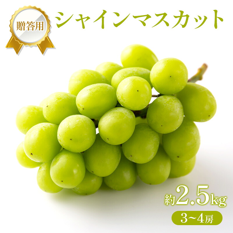 【ふるさと納税】ぶどう 2026年 先行受付 贈答用 シャインマスカット 2.5kg (3～4房) フルーツ 果物 岡山 赤磐市　お届け：2026年8月16日～2026年9月15日｜岡山県赤磐市