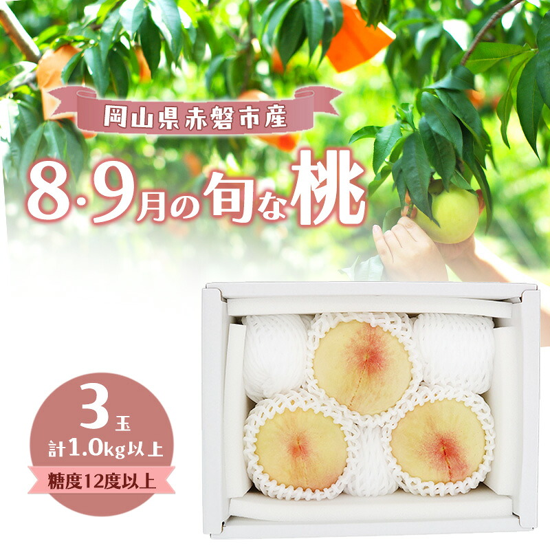 【ふるさと納税】桃 2026年 数量限定 岡山の白桃 『8・9月の旬な桃』 3玉 計1.0kg以上 糖度12度以上 お届け:2026年8月上旬~2026年9月下旬|岡山県赤磐市