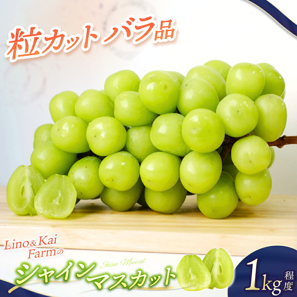 【ふるさと納税】 2026年先行予約 【粒カットバラ品】 シャインマスカット (1kg程度） Lino＆Kai Farm 2026年10月上旬～順次発送 訳あり ぶどう 岡山 真庭 マスカット 産地直送 数量限定