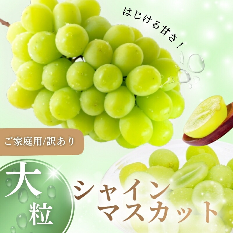 【ふるさと納税】【2026年先行予約】【訳あり】 ご家庭用シャインマスカット 約1.0kg（1～3房） / 甘い 岡山 訳アリ わけあり ぶどう ブドウ 葡萄 シャインマスカット フルーツ 果物 特選 真庭市 フルーツ王国【nisfarm019-01】