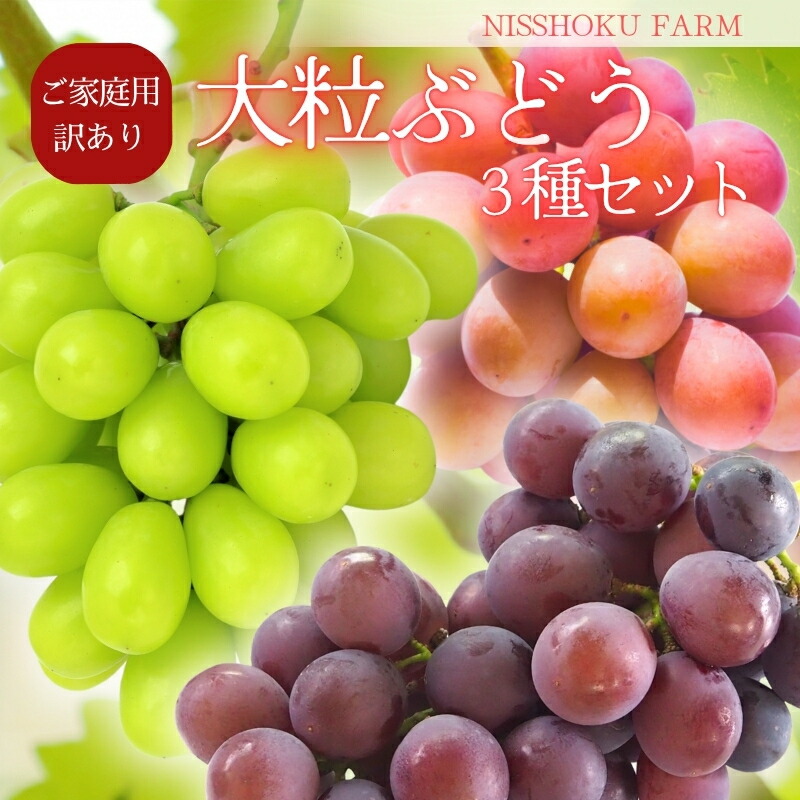 【ふるさと納税】【2026年先行予約】 NISSHOKU FARM ご家庭用 大粒ぶどう３種セット 岡山 訳あり / ぶどう ブドウ 葡萄 先行予約 フルーツ 果物 特選 大粒サイズ 真庭市 フルーツ王国