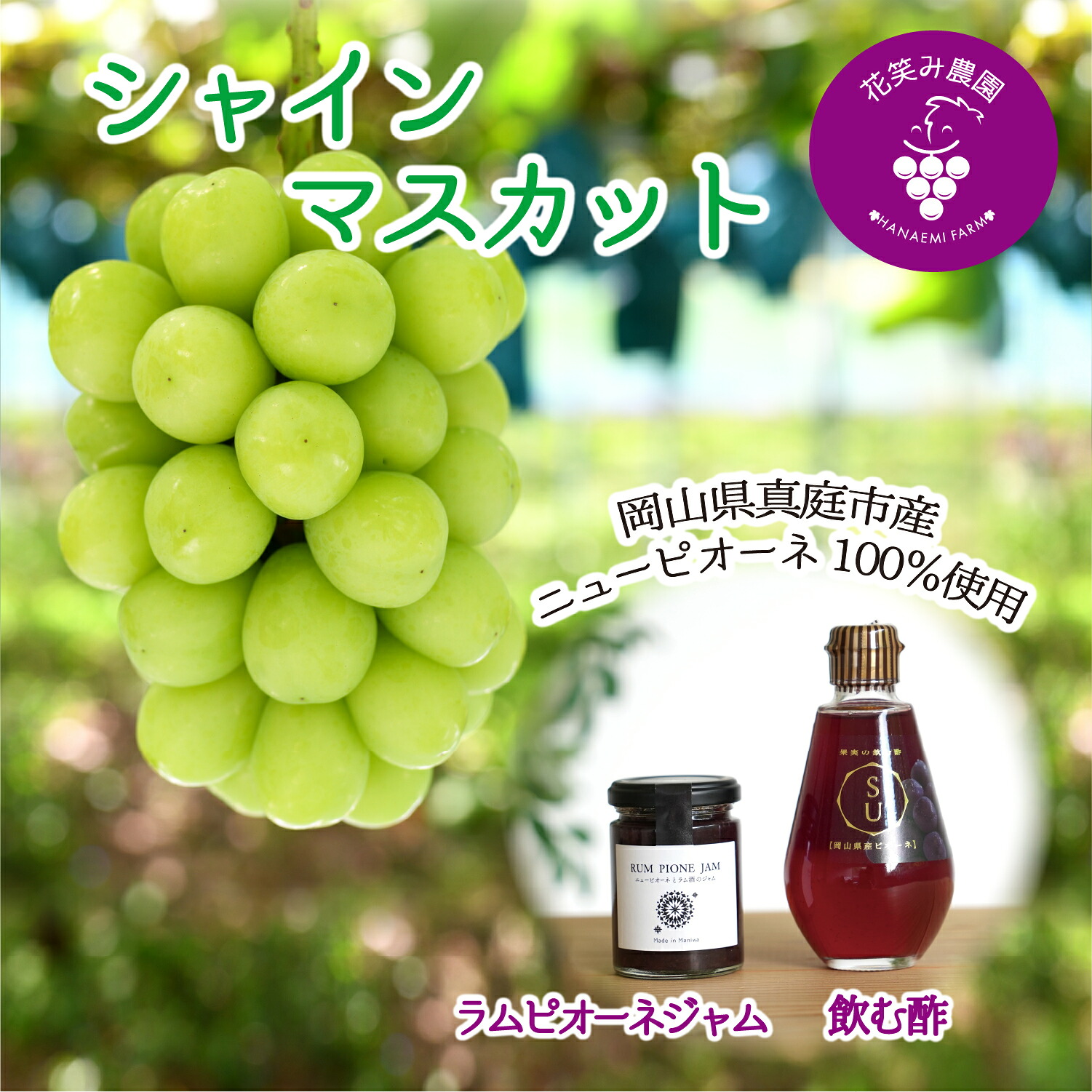 【ふるさと納税】 【2026年先行予約】岡山 花笑み農園の『シャイン&ラムピオーネジャム&飲む酢』シャインマスカットと加工品セット S-JN hana88 岡山 真庭 大粒 高級 濃厚 シャイン フルーティー ジャム 高級感 酢 飲む ビネガードリンク 贈答用｜岡山県真庭市 16,000円