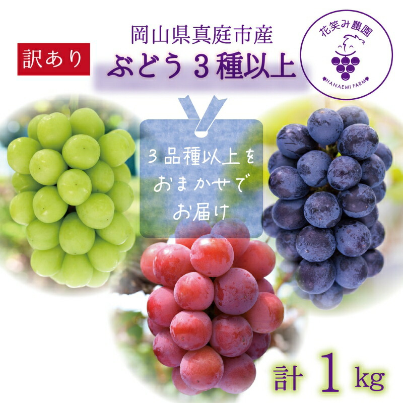 【ふるさと納税】 岡山　花笑み農園のブドウ『訳ありMIX3種以上』1kg W3M-1 hana18-1【2025年9月中旬～順次発送】【配送不可地域：離島】ぶどう 葡萄 真庭 国産 産地直送 シャインマスカット ピオーネ オーロラブラック 瀬戸ジャイアンツ 食べ比べ フルーツ 果物【1393982】画像