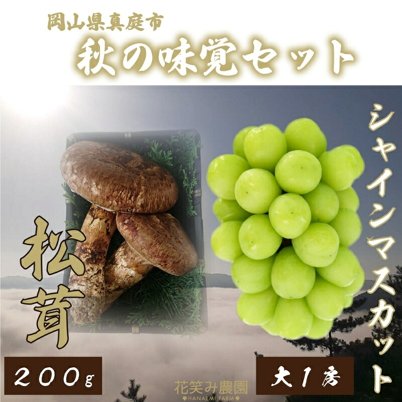 【ふるさと納税】 ＼2026年先行予約／ 花笑み農園の岡山県産『松茸+シャインマスカット』秋の味覚セット hana22【2026年9月下旬～順次発送】【配送不可地域：離島】国産 岡山県 真庭市 希少 産地直送 松茸 天然物 大粒 葡萄 果物 フルーツ シャインマスカット 人気 豪華 セッ｜岡山県真庭市