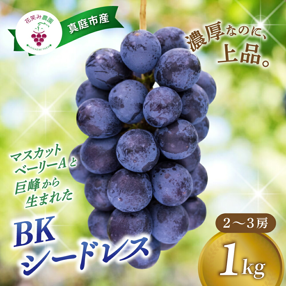 【ふるさと納税】 ぶどう BKシードレス 1kg(2～3房) 岡山 【2026年 先行予約 9月中旬～順次発送】 種なし ぶどう ブドウ 葡萄 送料無料 数量限定 期間限定 産地直送 人気 果物 フルーツ くだもの 岡山 花笑み農園 ギフト 2026年発送 巨峰 マスカット｜岡山県真庭市