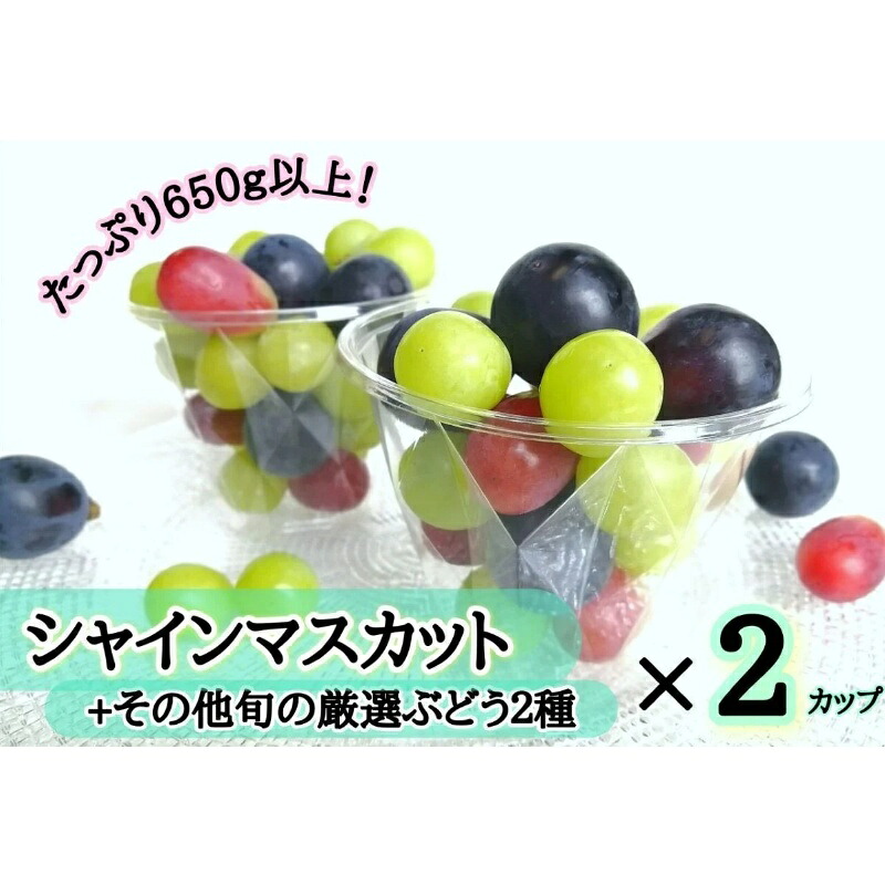 【ふるさと納税】 2026年先行予約 【産地直送】ぶどう粒カップ 2カップ計650g （シャインマスカット入） 離島発送不可 葡萄 ブドウ 果物 マスカット 食べ比べ 数量限定 食べやすい 林ファミリー 真庭市